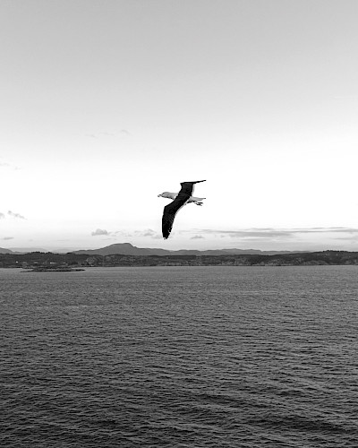 Tələsmədən yaşamaq