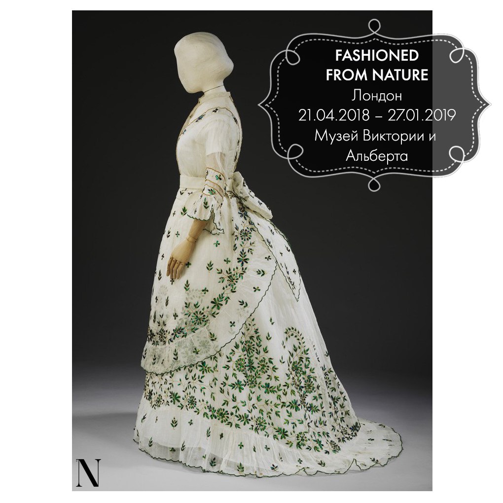 photo5190683189893507579