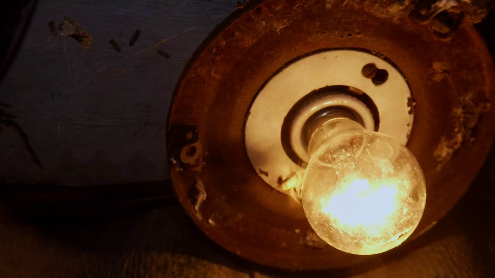 videoblocks-night-butterflies-flutter-around-light-of-old-lamp-outside-macro_rkumroi1z_thumbnail-full01_copy