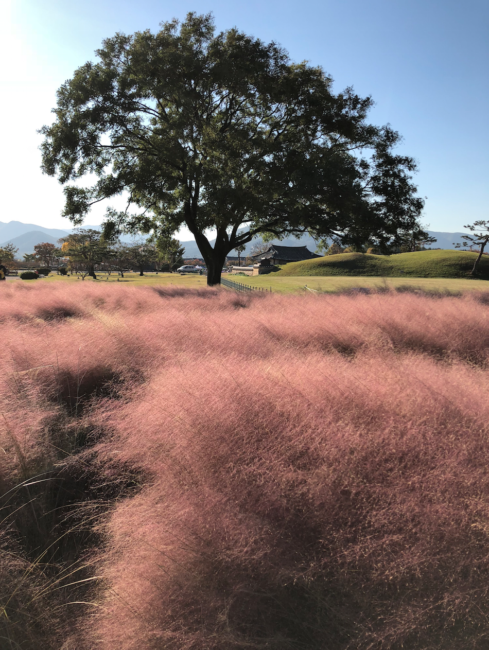 screen_shot_2017-11-10_at_14.09.06