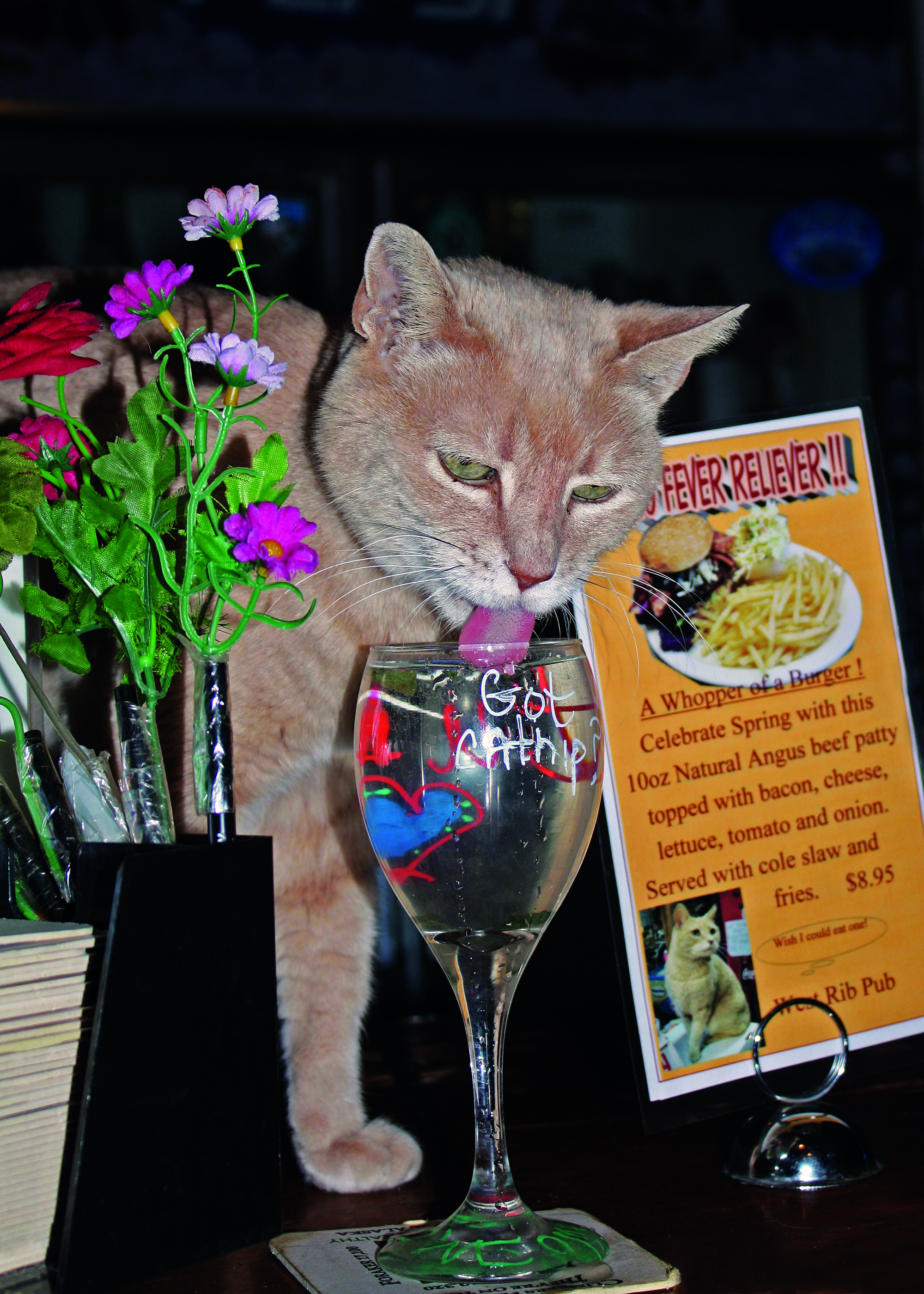 stubs-drinks-by-his-photo