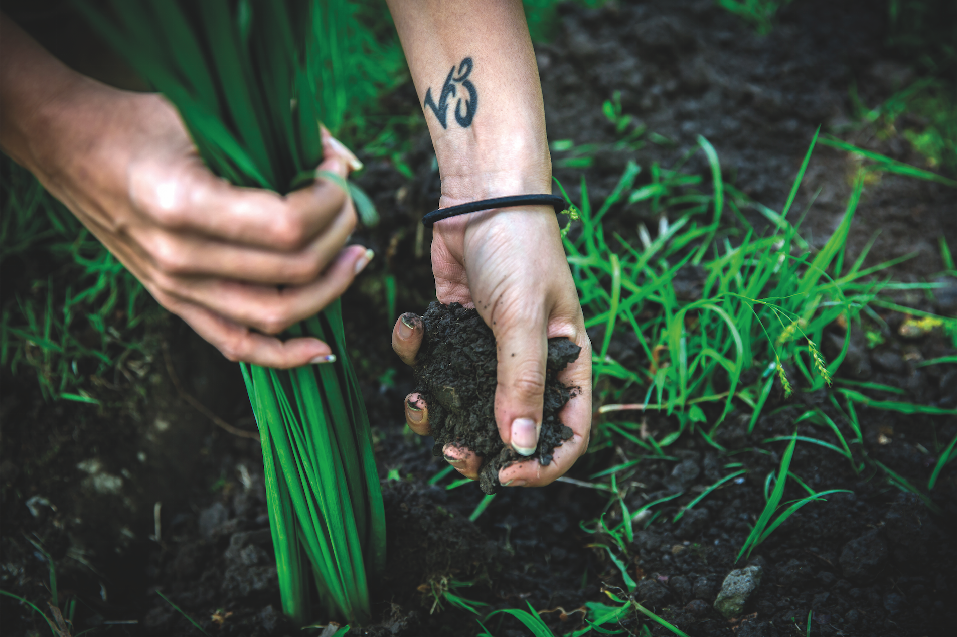 screen_shot_2017-06-19_at_12.39.48_pm