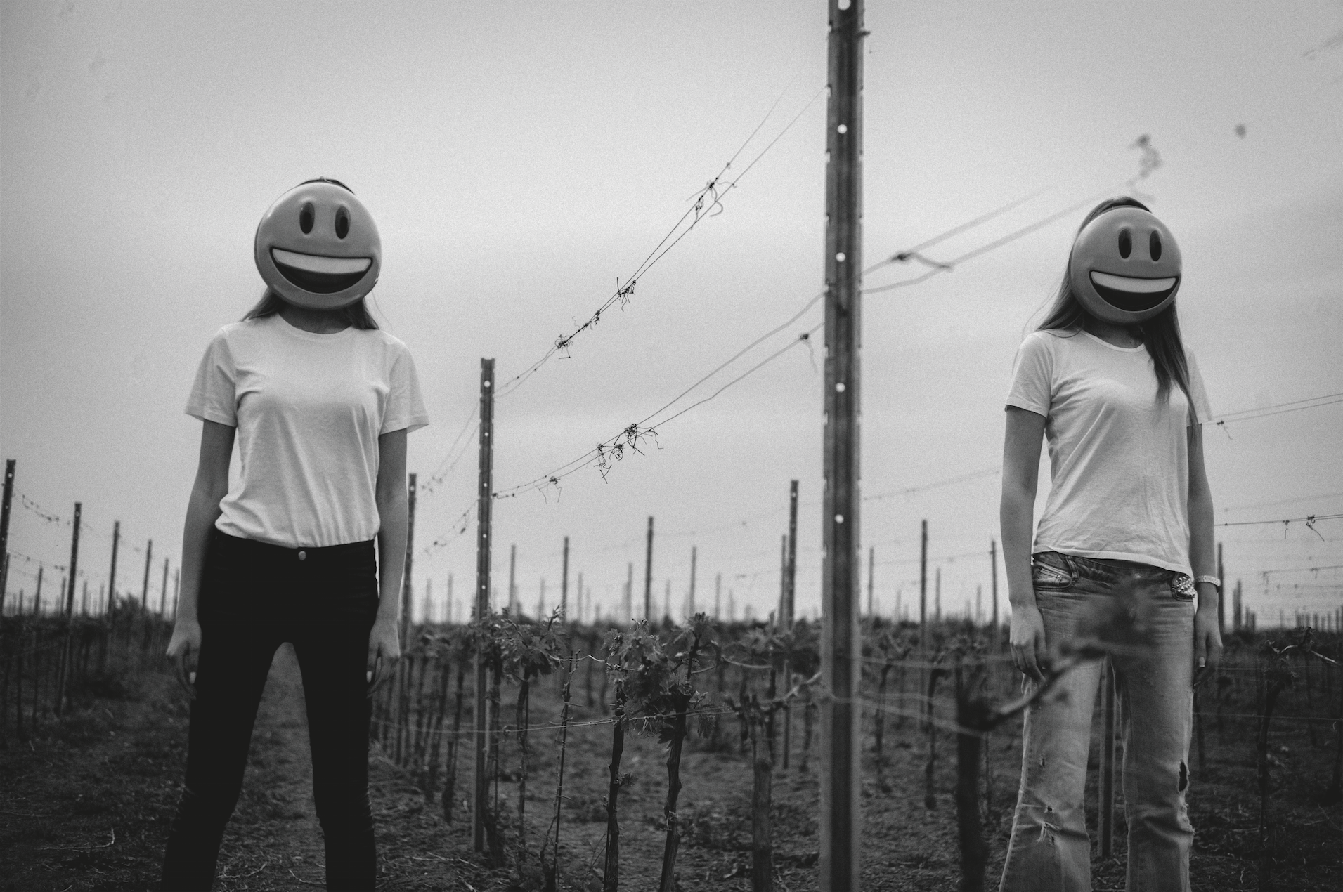 screen_shot_2017-06-13_at_12.53.52_pm