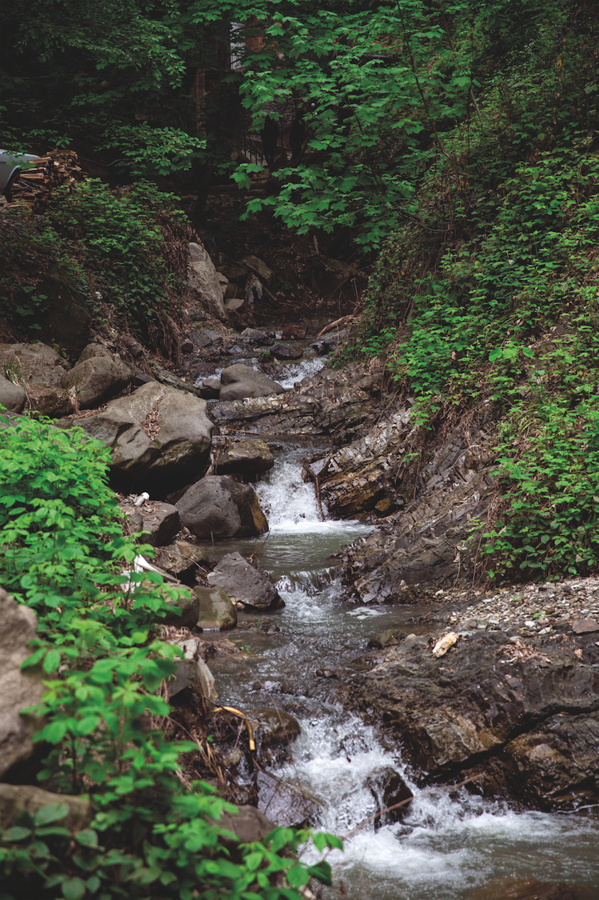 screen_shot_2017-06-12_at_2.01.13_pm