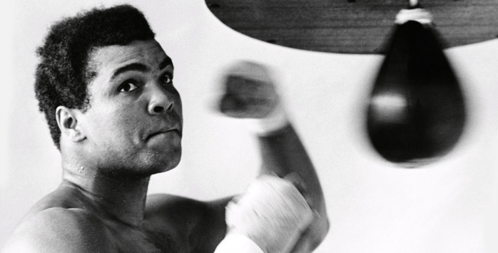 2ea2d864505be879d6656bd4fa10d7e0_xl