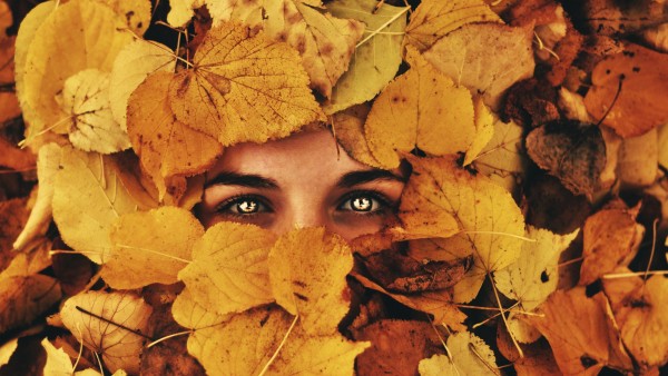 [288970-2500x1660]-listya-fon-glaza-vzglyad-osen_1450191875