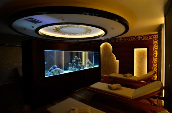 467070_191000467716749_749337812_o