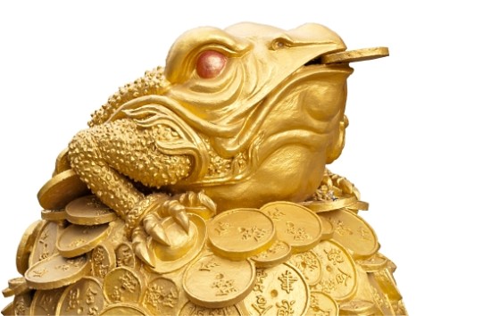 Frog with money on white background