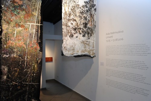 14632020273527947264_1000x669