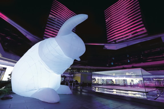 1447435554_Amanda_Parer_Intrude