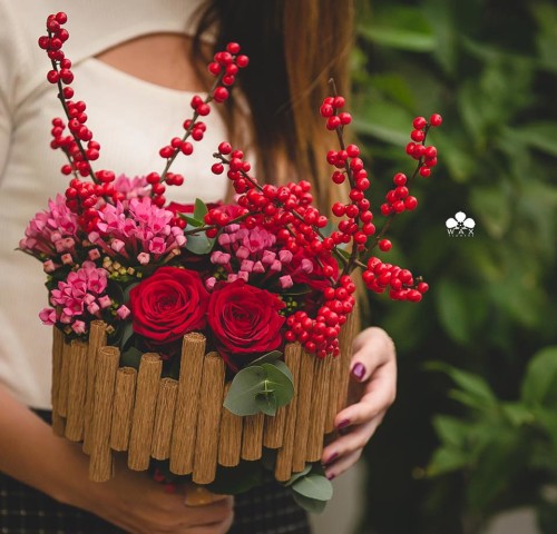 12227814_413299182197141_1139185597552659686_n