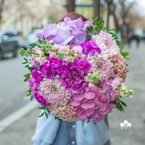 12932613_453727944820931_3849037065355773337_n