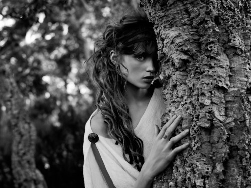 c474962293c8f3b83d1cd767c1f04010