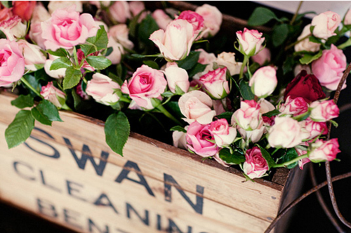 tumblr_n2do6rP8hG1r7aln3o1_500