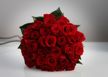 red-roses-2