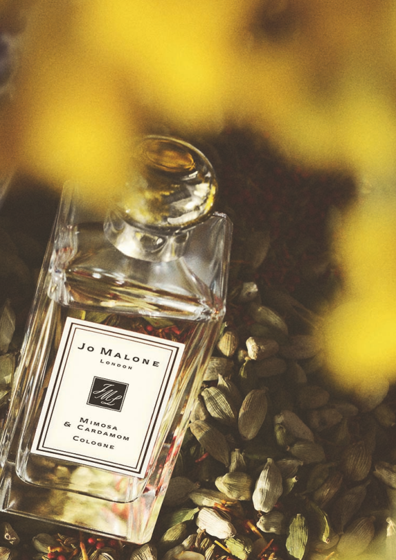 Screen Shot 2015-11-10 at 12.15.05