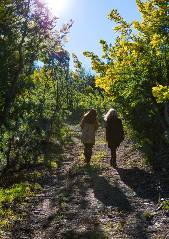 Screen Shot 2015-11-10 at 12.18.42