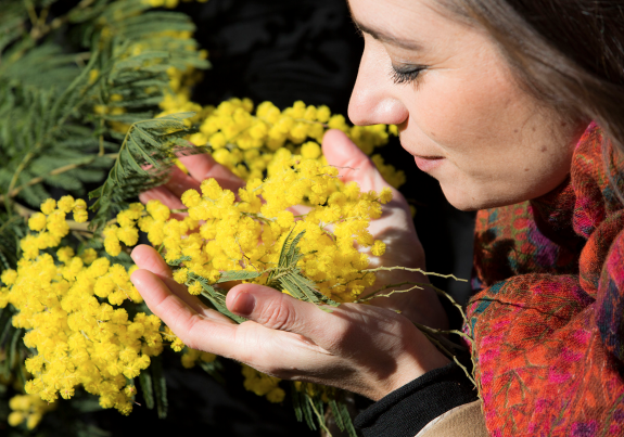 Screen Shot 2015-11-10 at 12.20.00