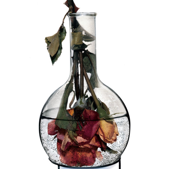 549a02351715a_-_hbz-flowers-beaker-promo