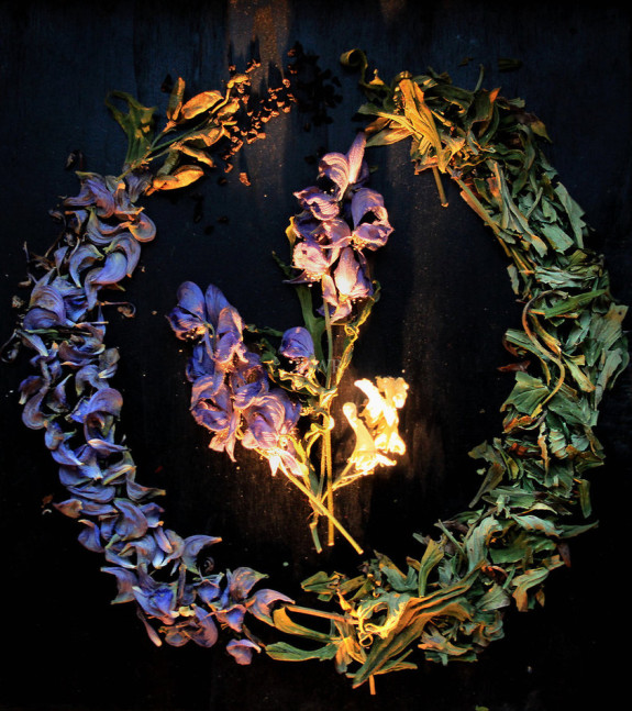 aconite_harvest_circle_by_wiebkerost-d6xo8es