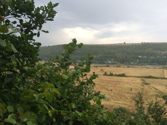 photo 4 (1)