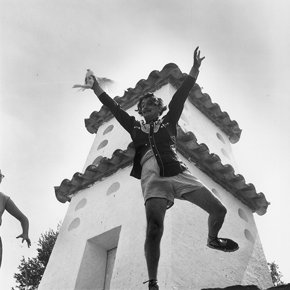 Jumping Dali