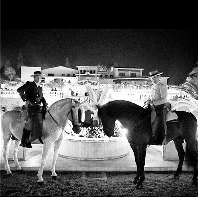 689x685_0xd42ee42a_17831262861407138302