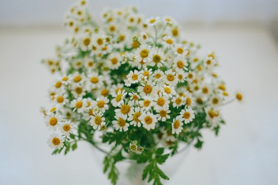 ccs-12347-0-91009800-1355755032